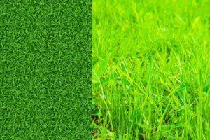 Artificial Turf vs. Natural Grass