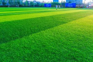 Eco-Friendly Summer Artificial Turf