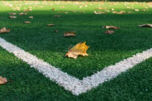 Fall Artificial Turf