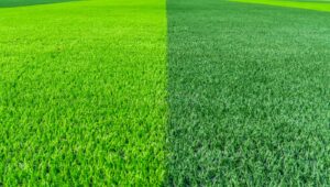 Artificial Turf vs. Natural Grass in Winter